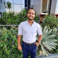 Mohamed Mansour