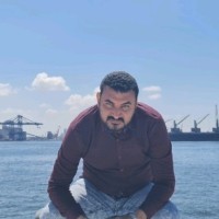 Mohamed Abdel Moneam