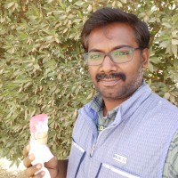 Elvis Kasi Raja S