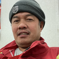 Dino Delfin