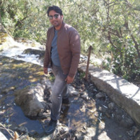 Rohit Roy