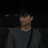 Thai Hoang