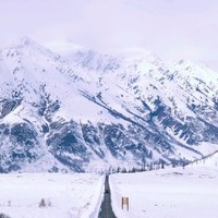 杨桂会