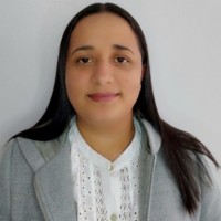 Diana P Leguizamon Medina