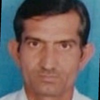 Umed Sagu
