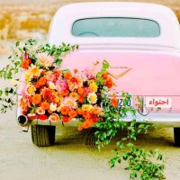 Nour El Houda RADJOUH