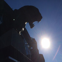 Kevin Lloyd RSE/PTech