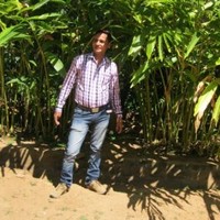Munindra Pal Singh