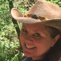 Kim Cree- Lang