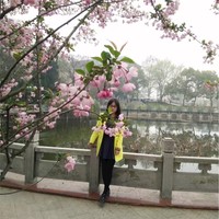 陈梦凡
