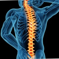 Spine Research