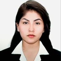 Maria Teresa Larico Rodriguez