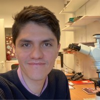 Tulio Silva