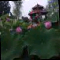 吕建永