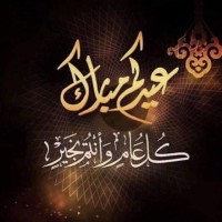 Montaser Mohammad Elshakh