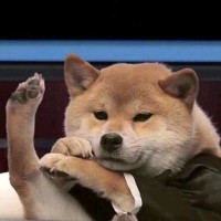 胡楷煜