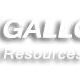GALLOP Resources