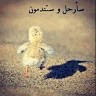 Mohanad Sobh