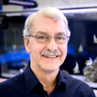 Werner Knapp