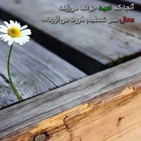 کریم ت