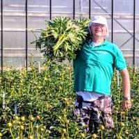 Hein van 't Hullenaar