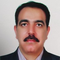 M.Hossein Heidari Joula