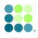Levey Group