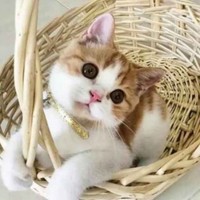 尚墨阳