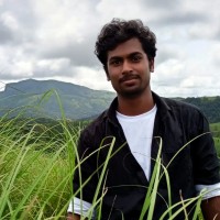 Thamaraiselvan V