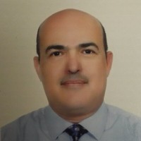 Bassem El Chafie