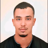 Ossama Zaouli
