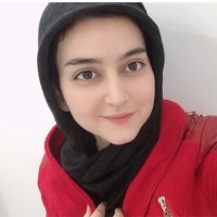 Mahsa F.