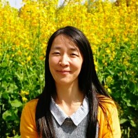 Yang Li