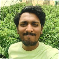 Rameez Raphy