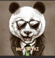 Mr. STRYKI