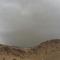 فواز الجهني