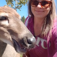 Teena Belisle