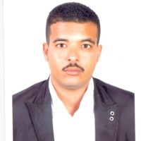 Tamer Mahmoud