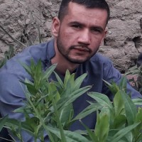 Omid Karimi