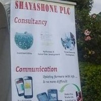 shayashone Trading