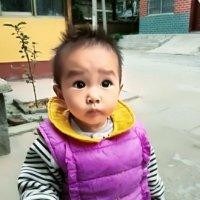 罗豪杰
