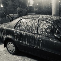 蔡晓光