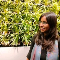 Taslima Rahi