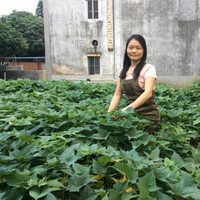 鐘麗雅