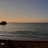 Kartal Şahin