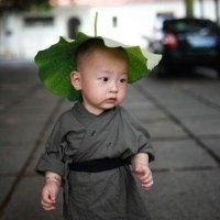 秦德强