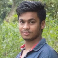 Ratan Roy