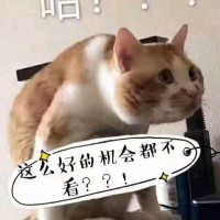 张桓硕