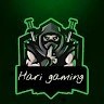 Hari gaming
