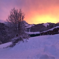 Jérémie GIRARD-DESPRAULEX